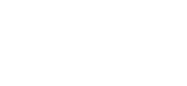 Hayston Company Limited